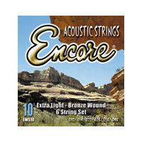 Encore Acoustic Guitar 12 String Set