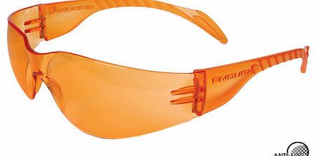 Endura Rainbow Anti Fog Glasses