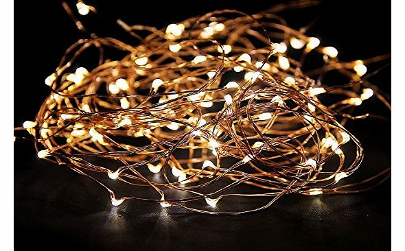  Christmas Lights Outdoor and Indoor Lights Xmas Decorations Fairy Lights (Warmwhite)