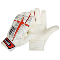 Goalie Gloves Youth.