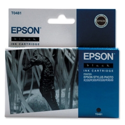 Epson Inkjet Cartridge Black for R300 Ref