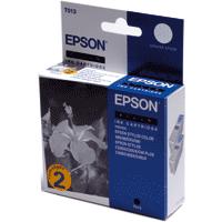 Epson T013 Black Ink Cartridge (Twin Pack) for
