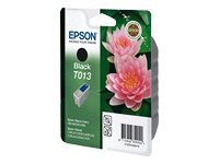 EPSON T013