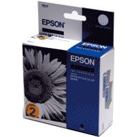 Epson T017 Black ink Cartridge (Twin Pack) for