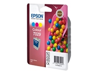 EPSON T029