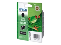 EPSON T0541