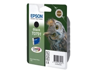 EPSON T0791