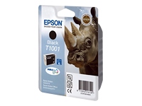 EPSON T1001