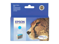 EPSON T1002