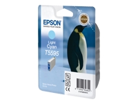 Epson T5595
