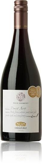 Errazuriz Wild Ferment Pinot Noir 2008