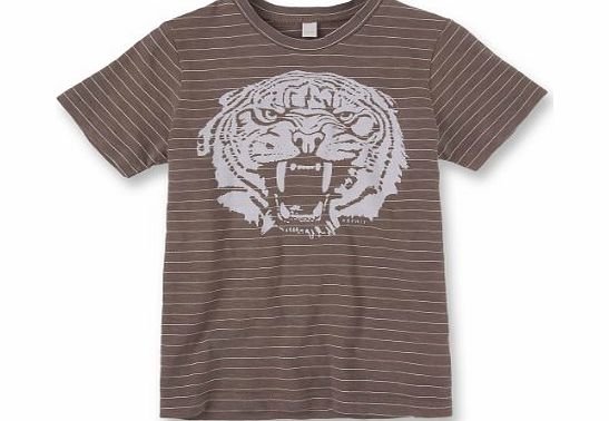 Esprit Boys Short Sleeve T-Shirt - Brown - Braun (TRUFFLE BROWN) - 8 Years