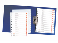 ESSELTE A4 grey polypropylene indices printed