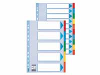 ESSELTE A4 January to December multi colour card