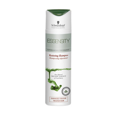 Essesnsity Essensity Restoring Shampoo 250ml