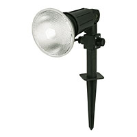 ETERNA Ground Spike Spotlight