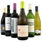 Ethical Fine Wines Ethical Starter Case