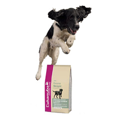 eukanuba Daily Care Over Weight, Sterlized 2.5Kg