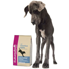 Daily Care Sensitive Joints 12.5Kg
