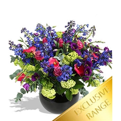 Euroffice All That Jazz