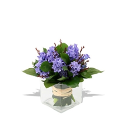 Euroffice Aromatherapy