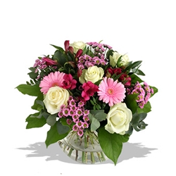 Euroffice Beautiful Smile