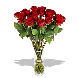 Euroffice Casanova Classic