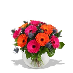 Euroffice Flower Power