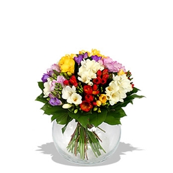 Euroffice Freesia Bouquet