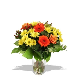 Euroffice Lemon Love