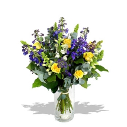 Euroffice Lemon Soda