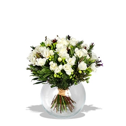 Euroffice Norma Jeane