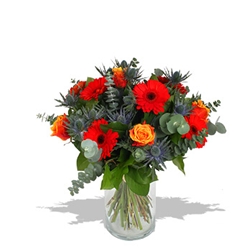 Euroffice Nut Cracker