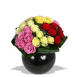 Euroffice Perfect Score