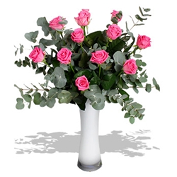 Euroffice Pink-A-Boo