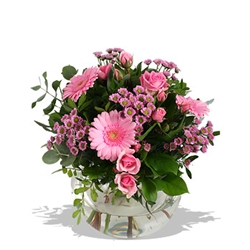 Euroffice Pink Purity