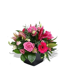 Euroffice Tickled Pink