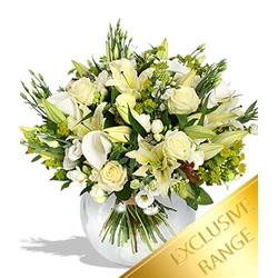 Euroffice With All My Heart