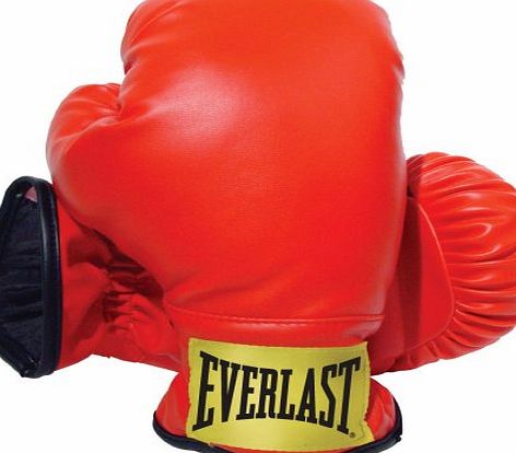 Everlast Youth Boxing Gloves