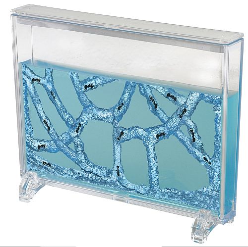 everythingplay Antworks Space Ants