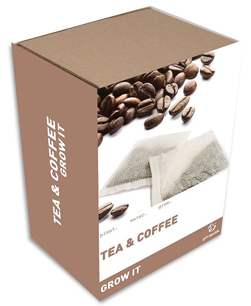 everythingplay Grow It Tea and Coffee