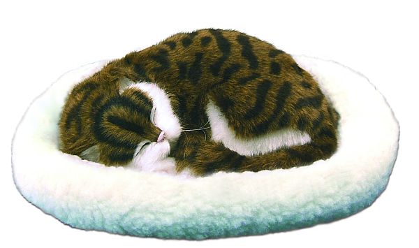 everythingplay Pet Dreamz Cat