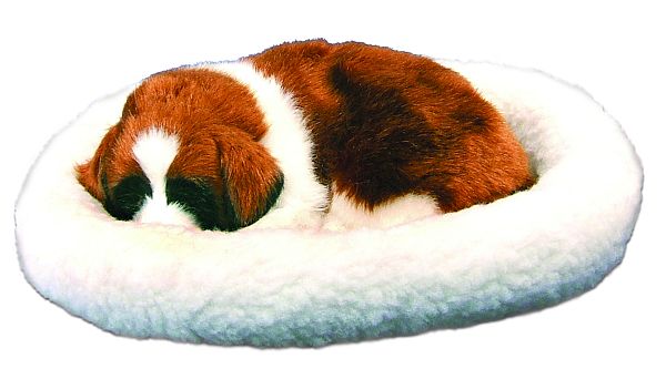 everythingplay Pet Dreamz Dog