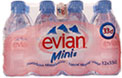 Evian Natural Still Mineral Water (12x330ml)