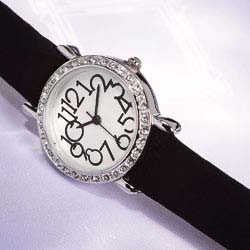 Excelsior Interchangeable Watch