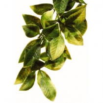 Exo Terra Amapallo Shrub Plastic Large