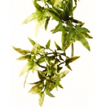 Exo Terra Croton Shrub Plastic Large