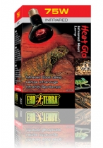 Exo Terra Heatglo Infrared Lamp R20 75W