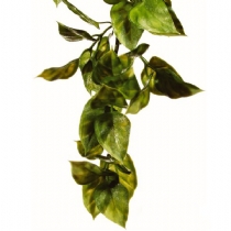 Exo Terra Mandarin Shrub Plastic Large