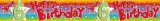 Expression factory Birthday Banner (2.6m long) - Youre 6 Happy Birthday